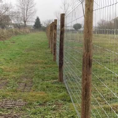 Security Gate For Dog Walking Field